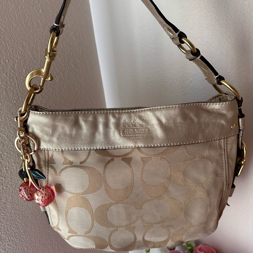 Coach Zoe Hobo Bag